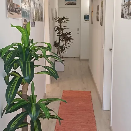 Проживание в семье Holidays