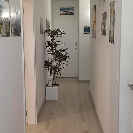 בית אירוח Holidays *