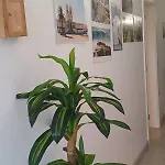 Holidays Проживание в семье