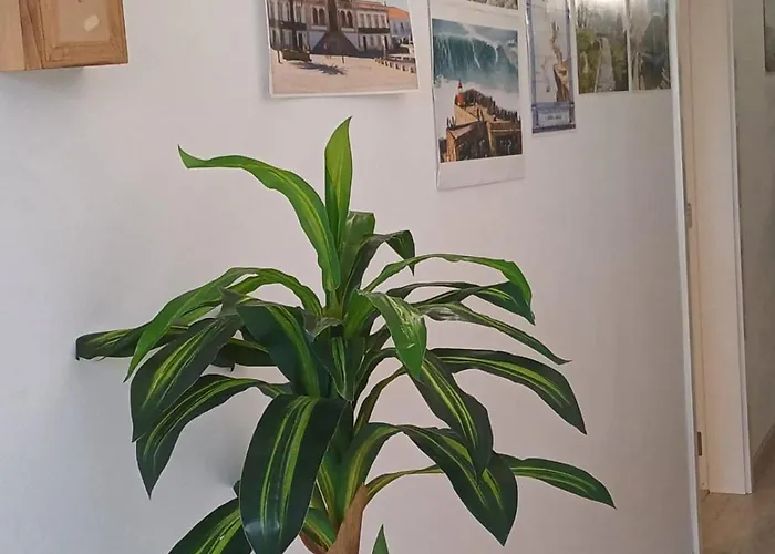 Holidays Ubytování v soukromí